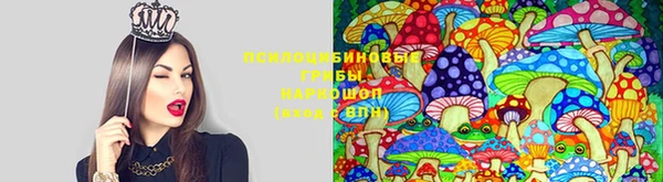 ПСИЛОЦИБИНОВЫЕ ГРИБЫ Арсеньев
