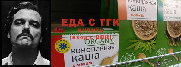ПСИЛОЦИБИНОВЫЕ ГРИБЫ Арсеньев