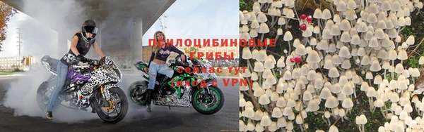 шишки Балабаново