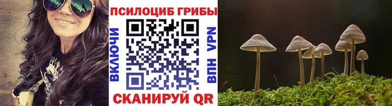 Псилоцибиновые грибы MAGIC MUSHROOMS  omg зеркало  Барабинск 
